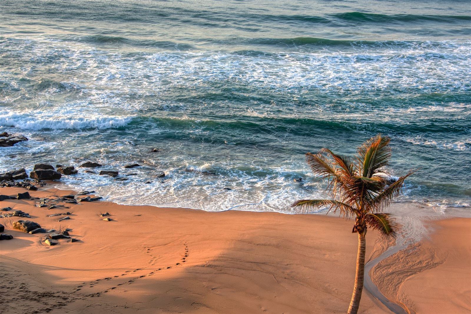 Beach mit Palmen